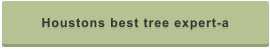 Houstons best tree expert-a
